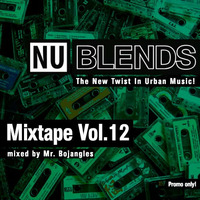 Nu Blends Mixtape Vol.12 by Nu Blends