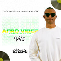 The Essential Mixtape Series - Afro Vibez Vol 5 [Zim Edition] by DJ Mutu