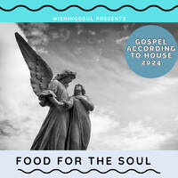 Food For The Soul (The Gospel According To House) mixed Wishingsoul by Wishingsoul
