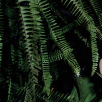 DOXS RUHR Podcast: WER REISST HIER NOCH WAS RUM? Folge 04 Plastik und Müll by Wer reißt hier noch was rum?