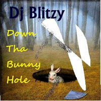 Down Tha Bunny Hole (djblitzy mix) by Dj Blitzy