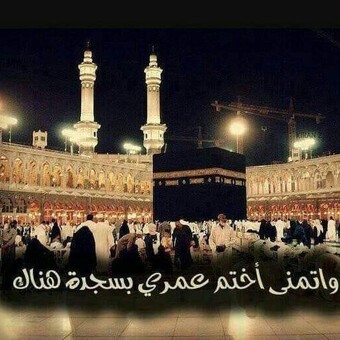 أم يوسف البادي