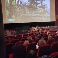 Planter des milliards d’arbres, la solution ? by Sans transition!