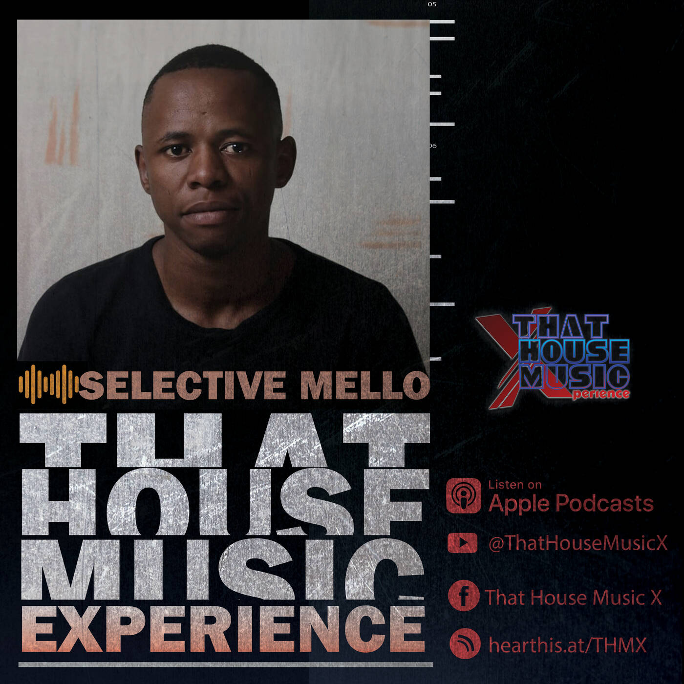 That House Music Experience .II. Selective Mello X03 episode artwork