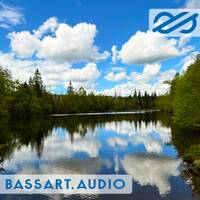 basscast 2605 by bassart aka sebastian schmidgen