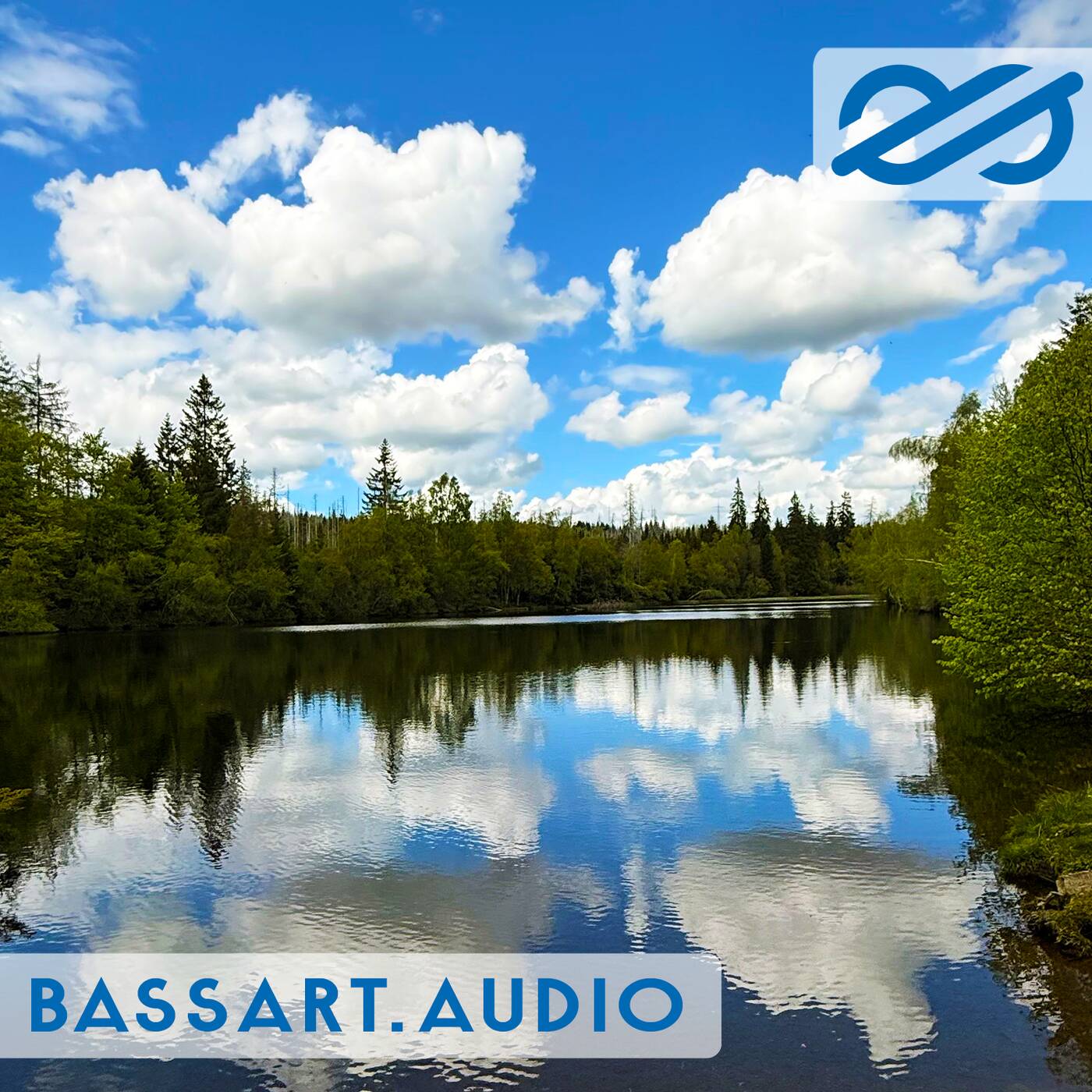 Play basscast 2605
