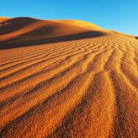 Ausruhen und Weitergehen - Predigt am 11. Sonntag i. Jkrs., Lj. A - 2023 von P. Christoph Kreitmeir in Ingolstadt by Christoph Kreitmeir