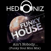 Ain't nobody (Funky Soul Mini Mix). by Hedoniz