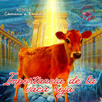 354. ¿Importancia de la Vaca roja? by Kehila Camino a Emaus