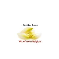 Ramblin’ Tunes - witlof from Belgium by Pat