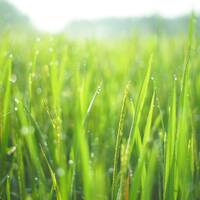 DJ Alex - Techno 2023 (26.11.23) by Good Old Days Music