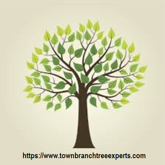 townbranchtreeexpert