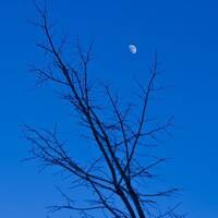 copernicus - highway to house - episode 86 by copernicus