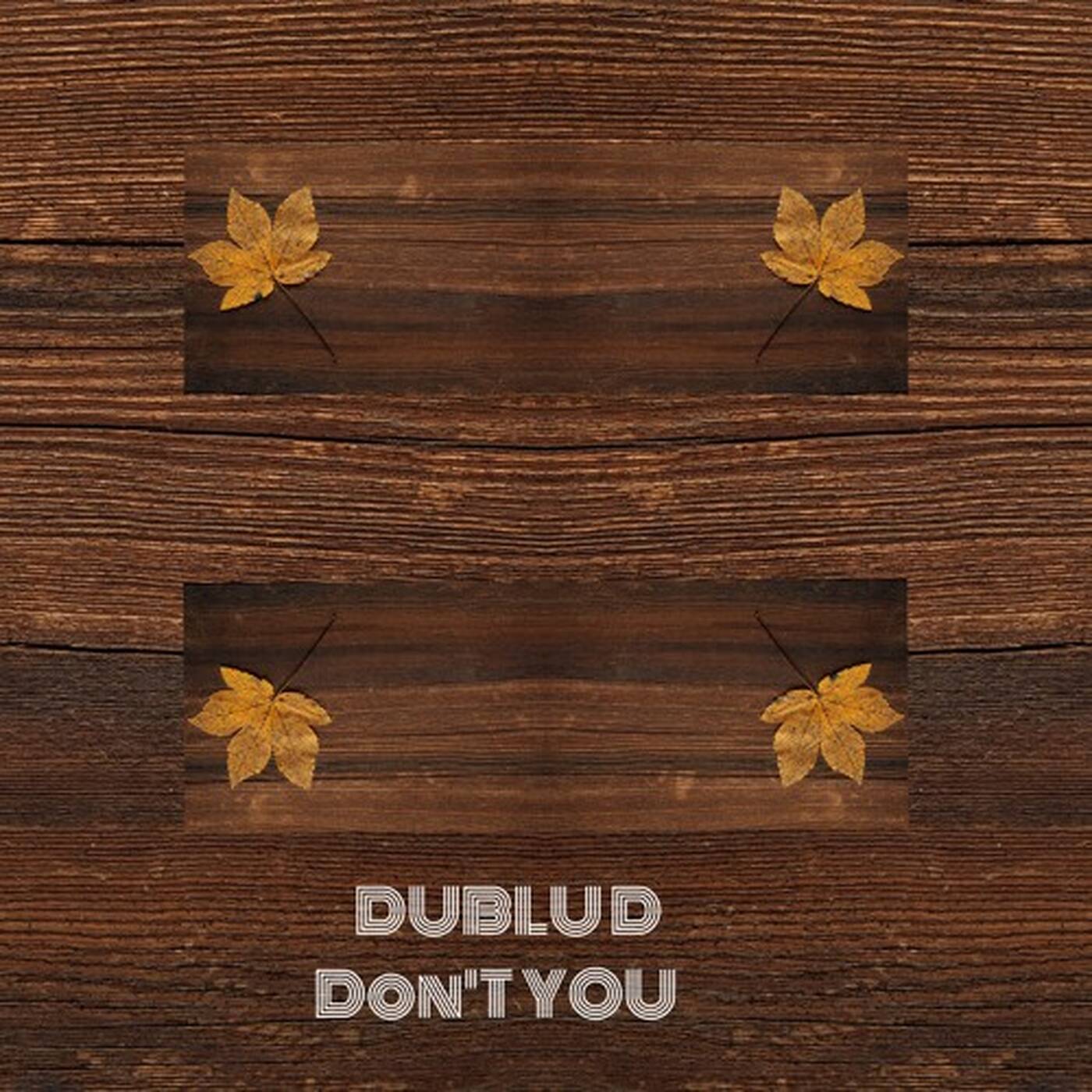 DubluD - Dont You episode artwork