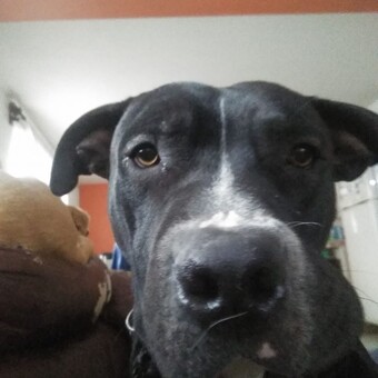 Tonatiuh Mata Eguiluz