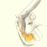 06.Vaches qui ruminent by petit label