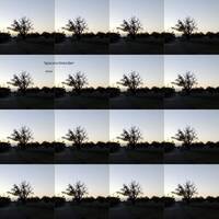 Spaceschneider - Badin by Rogalist Records