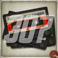 Echochamber 307 mit Delaydi (02.11.17) by Saetchmo