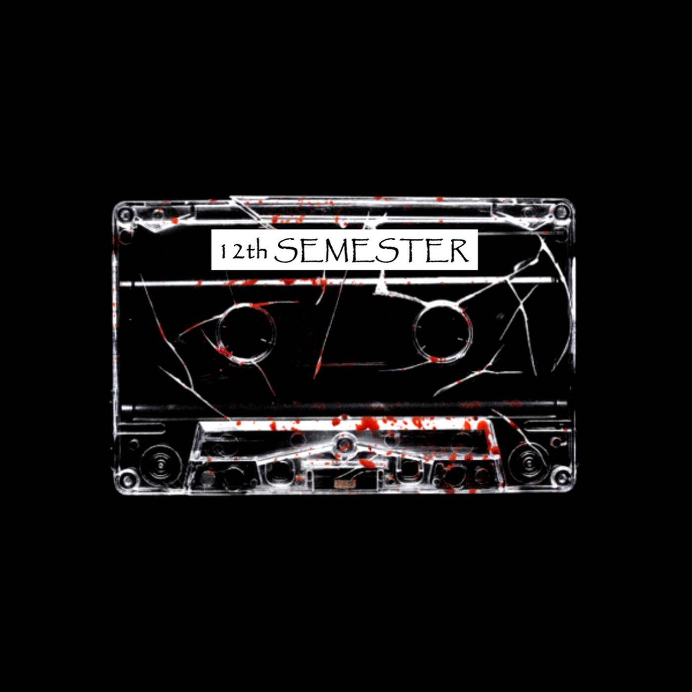TRAPHOP BEST OF 2020 TRAP & HIPHOP (12th Semester) episode artwork