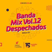 Banda Mix Vol.12 Despechados by Impac Records