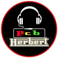 P.C.B. - Swifty and Sebster 