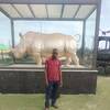 Titusford Amatu Amondo