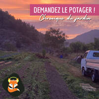 Demandez Le Potager ! - #44 Dernière ligne droite pour les semis by RDB (rdbfm)