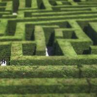 Probleme und wie sie zu lösen sind - Jugendpodcast von Moses und Norton by Knüpfwerk e.V.