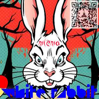 Nilenia - White Rabbit [Drum &amp; Bass Version] by Lorazz / Nilenia Official