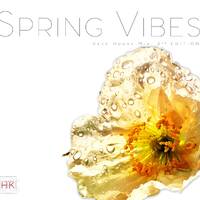 SPRING VIBES 3RD EDITION by House Keeper DJ