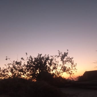 Nikhil Rajput Rajput