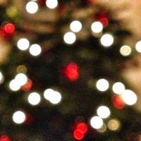 Unter'm Baum [progoak12] by Progolog Adventskalender [progoak21]