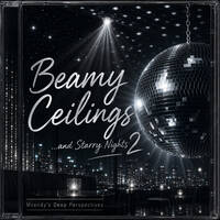 Beamy Ceilings 2 by Msendy