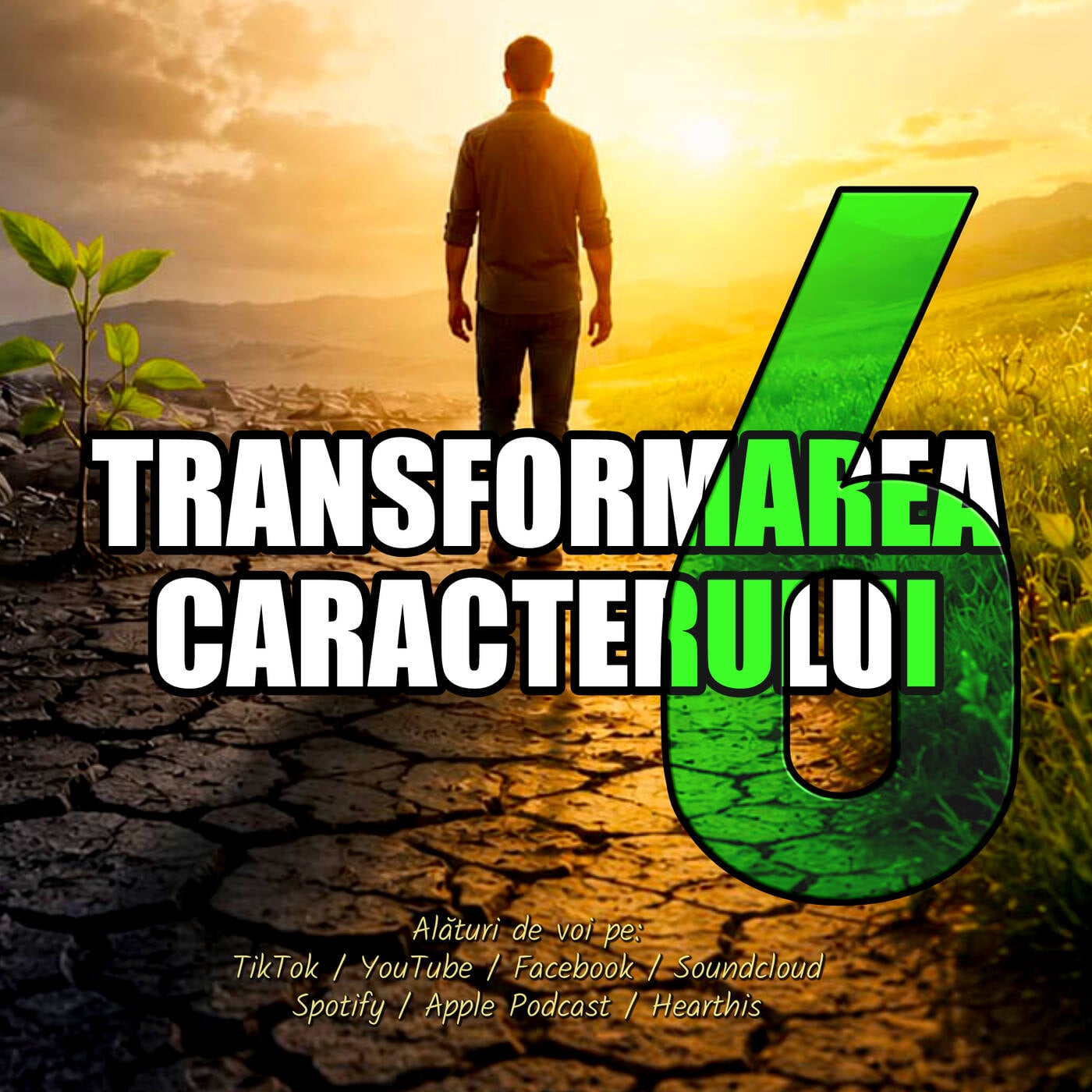 Transformarea Caracterului 6 (importanța Perseverenței) episode artwork