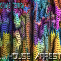 Thomas Tomka  House Arrest DJ Set  08.2015 by Thomas Tomka