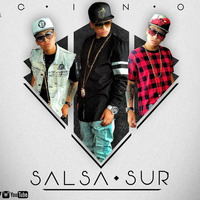 Salsa Sur - Pasito Shampoo (Saludo DJ Manny Radio) by Manny Carvajal