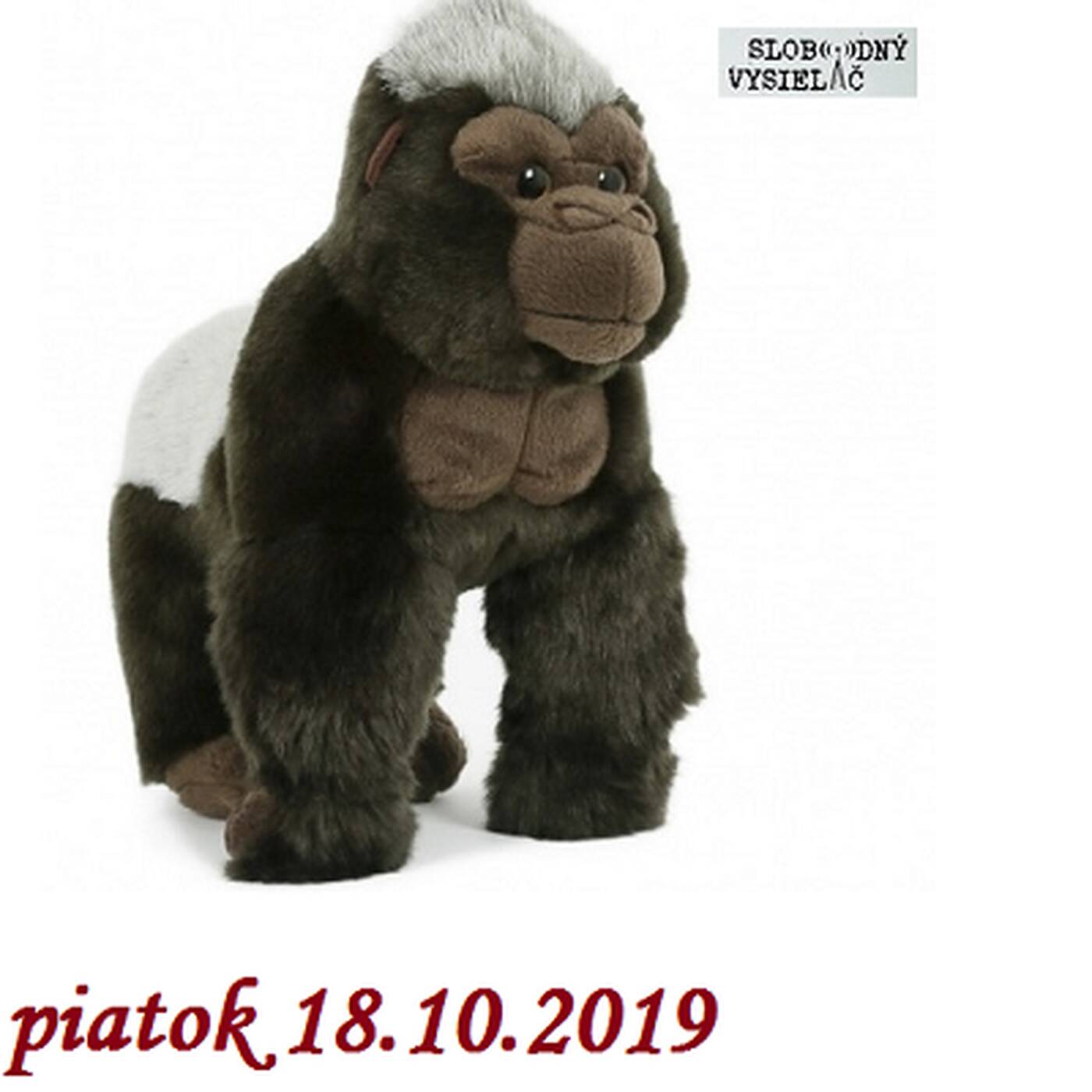V prvej línii - 2019-10-18 Aktuálny vývoj v kauze Gorila episode artwork