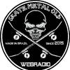 Skate Metal Old