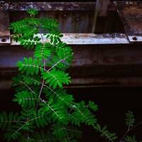 copernicus - highway to house - episode 82 by copernicus