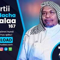 RNH 781, January 20, 2023 Jaarmaya Bultii by NHStudio