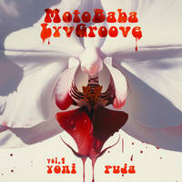 MotoBaba LuvGroove - Vol.04 Yoni Puja CD2 by MotoBaba