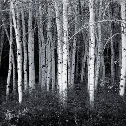 Listen to Heavy Metal music and sounds