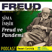#25 Şima İmşir Anlatıyor: "Freud ve Pandemi" by Sanat Kritik