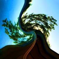 732 notes pour un mardi by Gérard Delassus