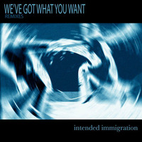 Intended Immigration - WGWYW (Wolfgang Lohr Remix) by Wolfgang Lohr