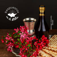 68. ¿Qué representan los elementos del seder de pesaj? | Respuestas en la Biblia by Kehila Camino a Emaus