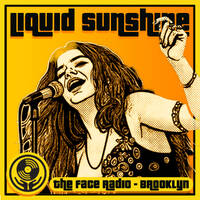 Hard Hitting Blues Rock - Liquid Sunshine @ The Face Radio - Show #259 by Liquid Sunshine