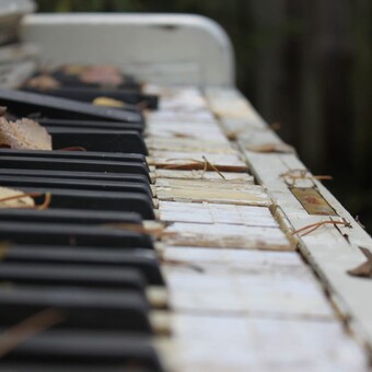 Simphiwe Piwane Radebe