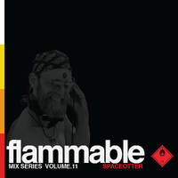 Flammable Mix Series Vol 11: spaceotter by Jayson Spaceotter