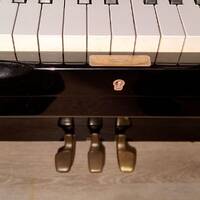 Etude en blanc by Gérard Delassus